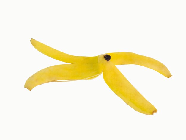 Jedna Skórka Banana Złotożółta, Która Jest Spożywana Do Końca, Pozostawiając Tylko Skórkę Zamienioną W Odpad Stały Nakręcony W Studio Na Białym Tle Ze ścieżkami Przycinającymi I Miejscem Na Kopię Na Białym Tle