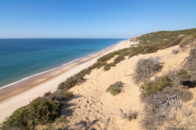 Jedna z najpiękniejszych plaż w Hiszpanii, zwana (El Asperillo, Doñana, Huelva) w Hiszpanii.