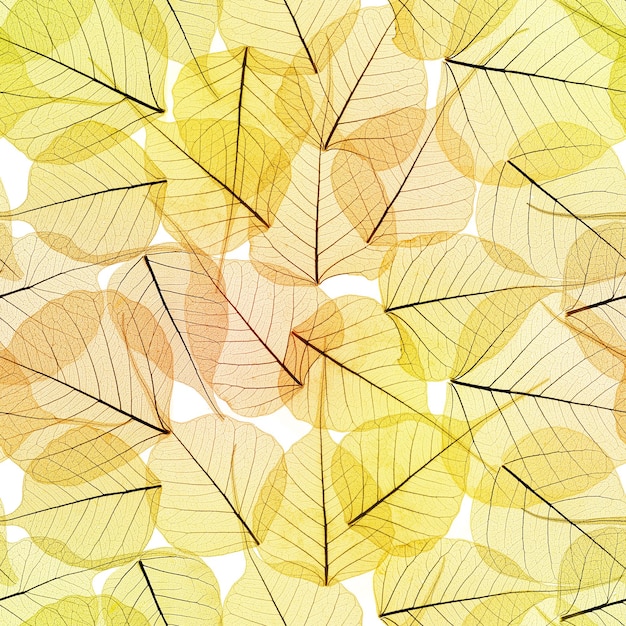 Jednolite tło wzór jesiennych liści