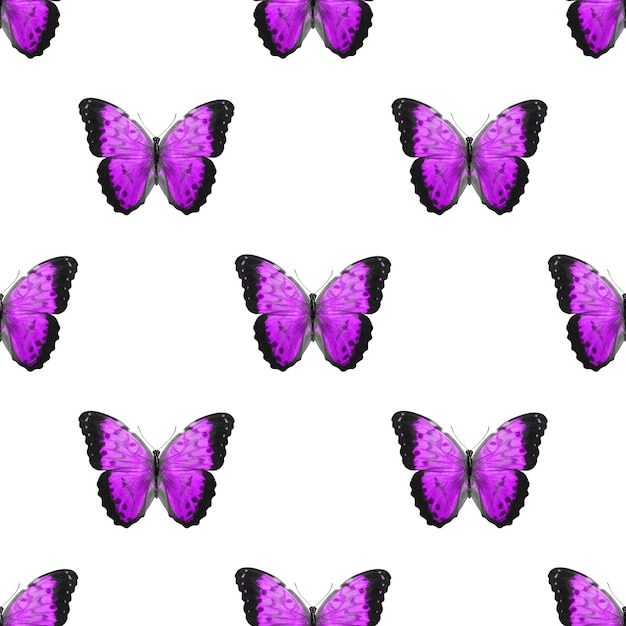 Zdjęcie jednolity wzór kolorowych motyli na białym tle
