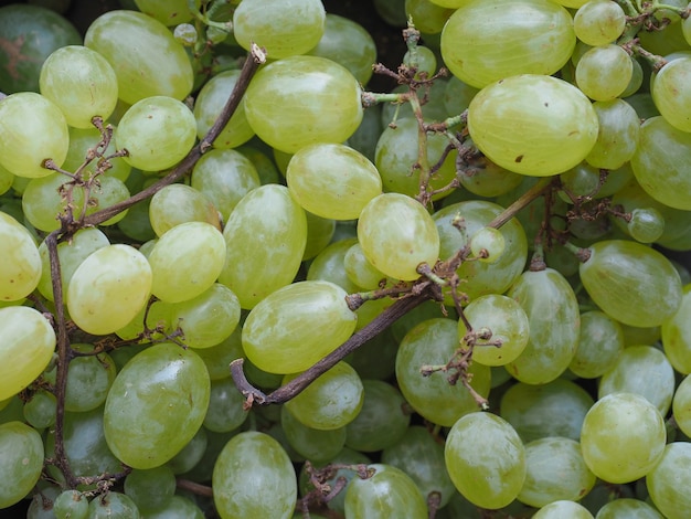 Jedzenie z białych winogron