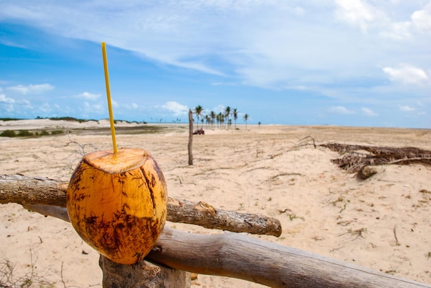 Jericoacoara to dziewicza plaża ukryta za wydmami zachodniego wybrzeża Jijoca de Jericoacoara, CearÃƒÂ¡, Brazylia