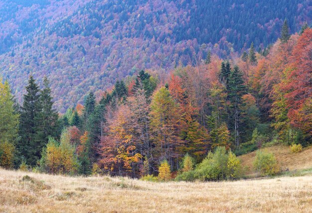 Jesień górska dolina i widok na las.