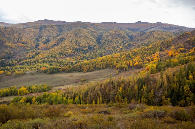 Jesień górski panoramiczny krajobraz