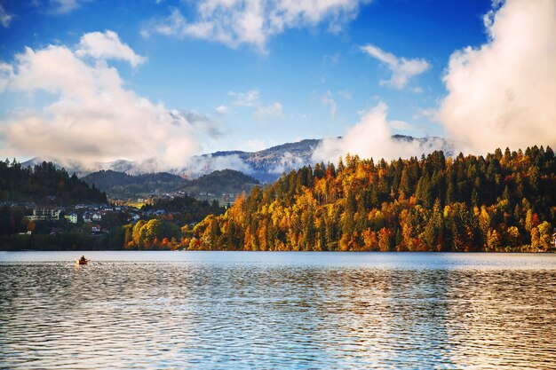 Jesień Jezioro Bled Słowenia Europa Jesień kolorowe liście lasu ze spokojną wodą