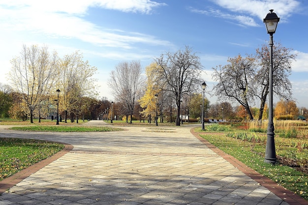 jesień krajobraz w parku, widok żółtej alei drzew w tle