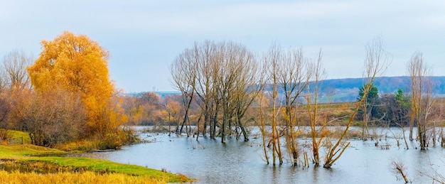 Jesień krajobraz z kolorowymi drzewami pomarańczowymi nad rzeką