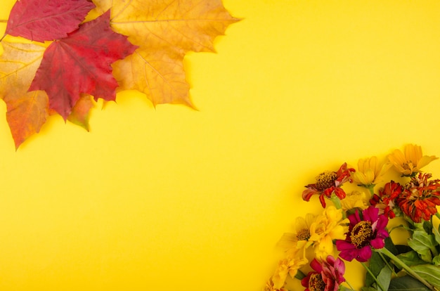 Jesień kwiaty i liście na żółtym tle
