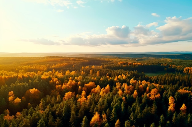 Jesień las widok z góry Żółte drzewa opuszczają las i góry