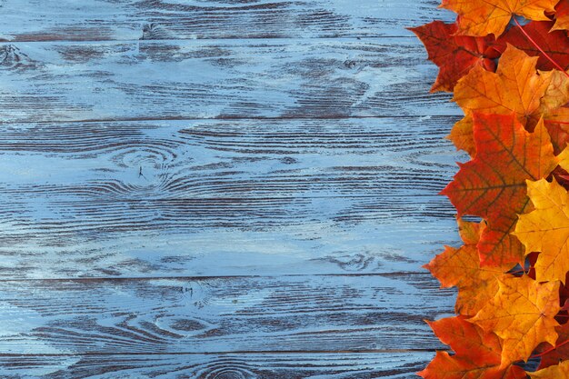 Jesień liść klonowy na błękitnym drewnianym stole. Spadek tła z miejsca kopiowania