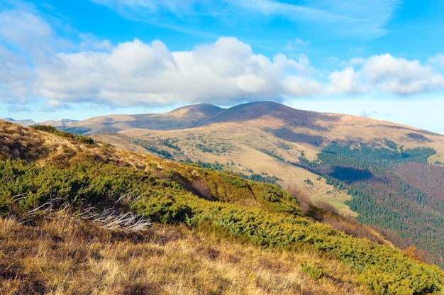 Jesień Mglisty Widok Na Góry (karpacki Mt, Ukraina).