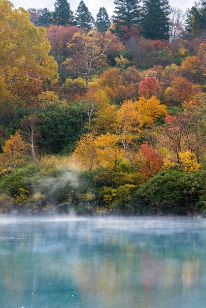 Jesień Onsen Jezioro Aomori Japonia