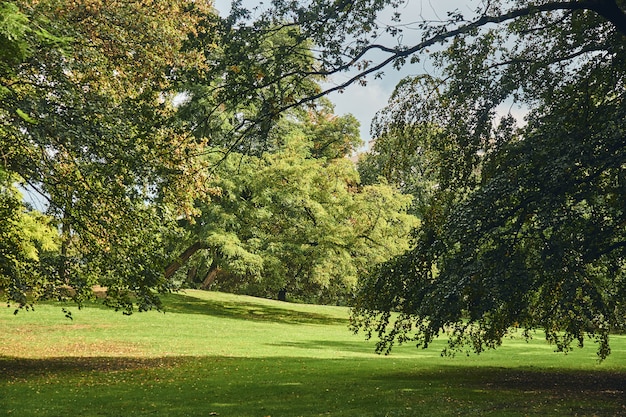 Zdjęcie jesień park w słoneczny dzień