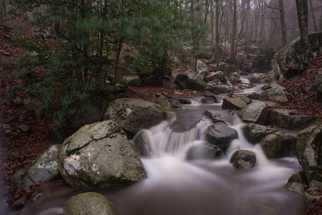 Jesień Przy Rzecznym Montseny, Catalonia, Hiszpania