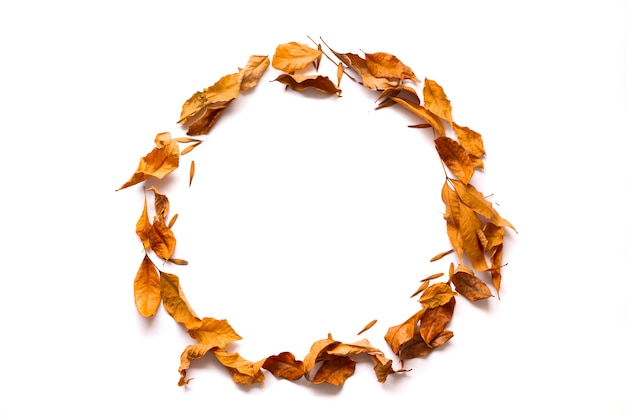 Jesień. Rama wykonana z suszonych liści jesienią na białym tle.