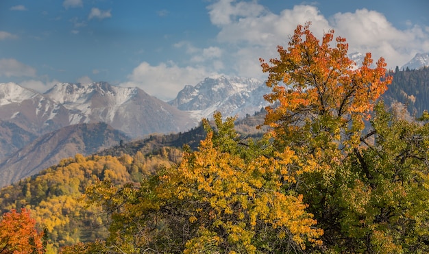 Jesień w górach, Kazachstan