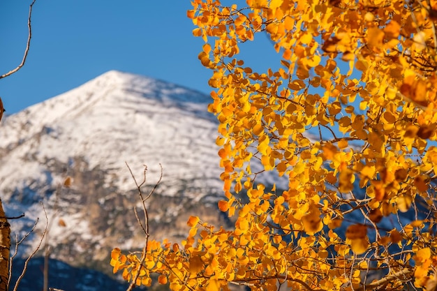 Jesień w Górach Skalistych w Kolorado