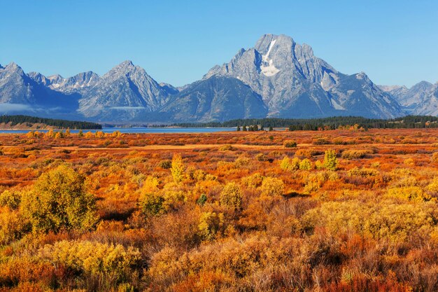 Jesień w Grand Teton