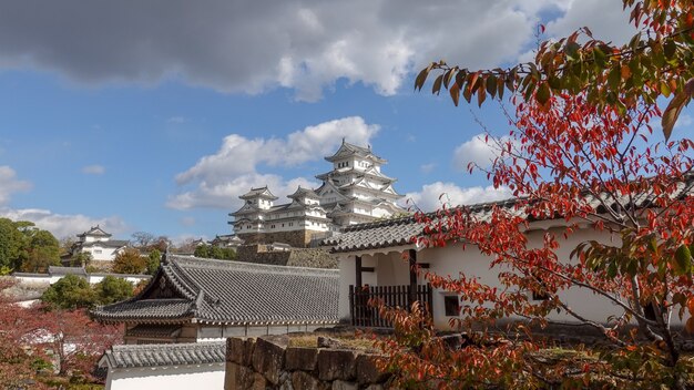 Zdjęcie jesień w japonii poluje na czerwone liście klonu kioto