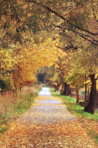 jesień w niemczech / park miejski w europie, niemcy jesienny krajobraz