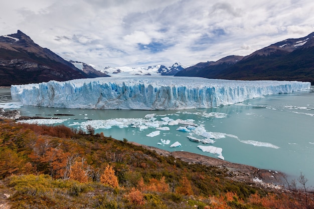 Jesień W Parku Narodowym Perito Moreno Niebieskie Pole Lodowca