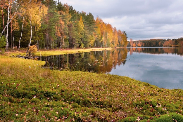 Jesień w północnym lesie, nad jeziorem w ciepłą, słoneczną pogodę