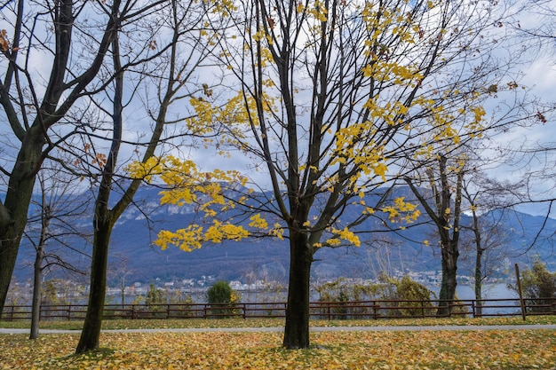 Jesień we Włoszech, Lago di Como