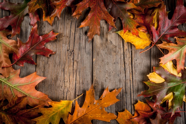 Jesieni pojęcie, tło, stary nieociosany drewniany stół z czerwonymi i żółtymi liśćmi, odgórny widok, rama