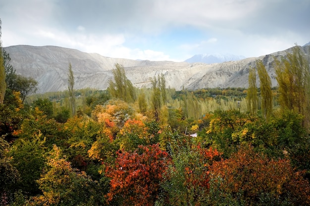 Jesieni scena w Khaplu, Gilgit Baltistan, Pakistan.