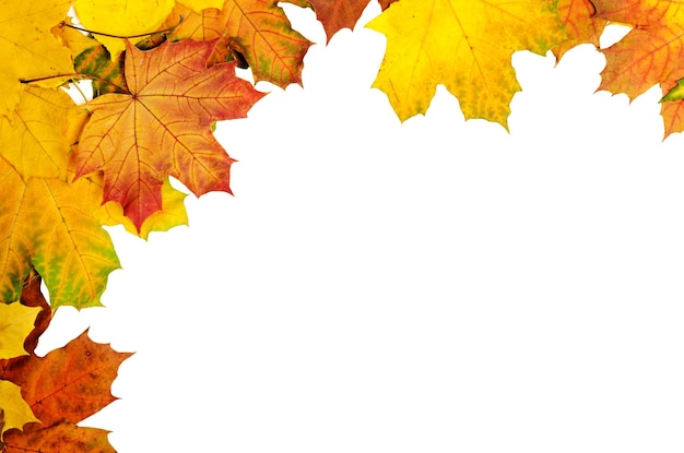 Jesienią tła z ilustracji wektorowych liści