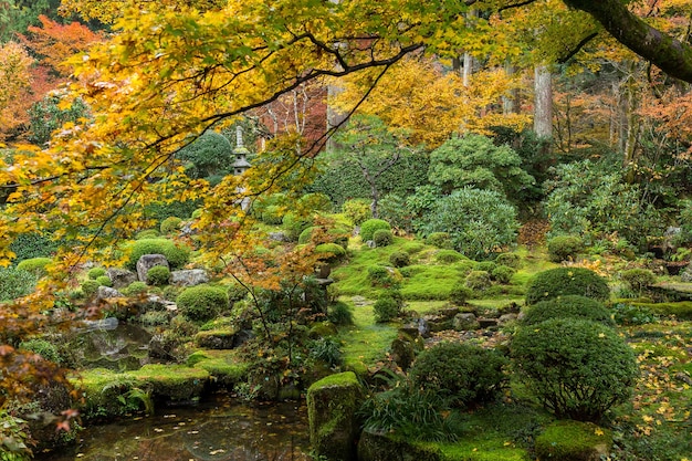Jesienna japońska świątynia