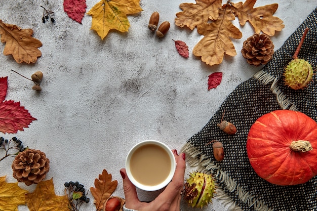 Jesienna, jesienna lub halloweenowa kompozycja wykonana z suszonych liści, dyni, szyszek, żołędzi, ciepłego szalika i dłoni z filiżanką kawy na betonowym tle. Szablon makieta pusty notatnik z miejsca na kopię.