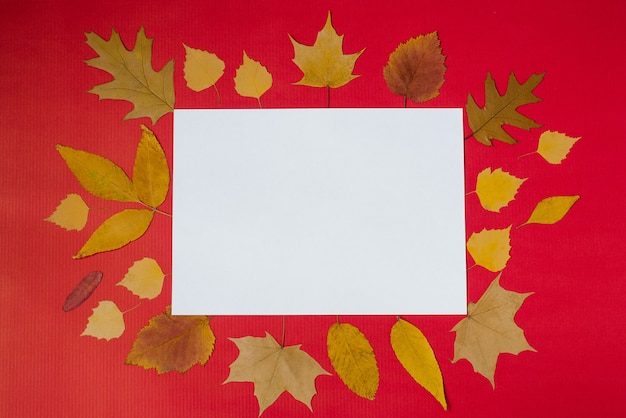 Zdjęcie jesienna kartka z życzeniami biała makieta arkusza papieru z dekoracją liści
