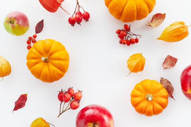 Jesienna kompozycja dynie jabłka na białym tle jesień koncepcja dzień dziękczynienia płaski lay