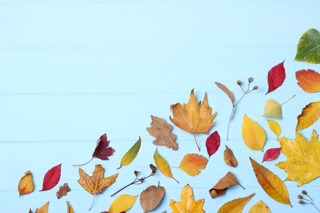 Jesienna kompozycja i jesienne liście na jasnym zbliżeniu tła