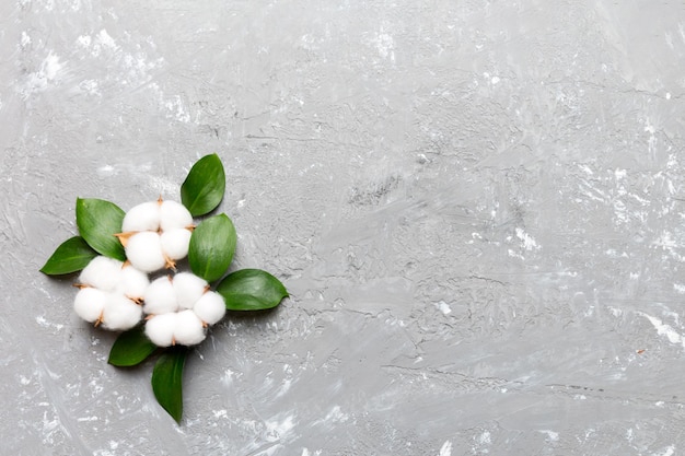 Jesienna kompozycja kwiatowa Płaska świecka w tle Suszona biała puszysta gałąź kwiatu bawełny z zielonym liściem widok z góry na kolorowym stole z miejscem na kopię