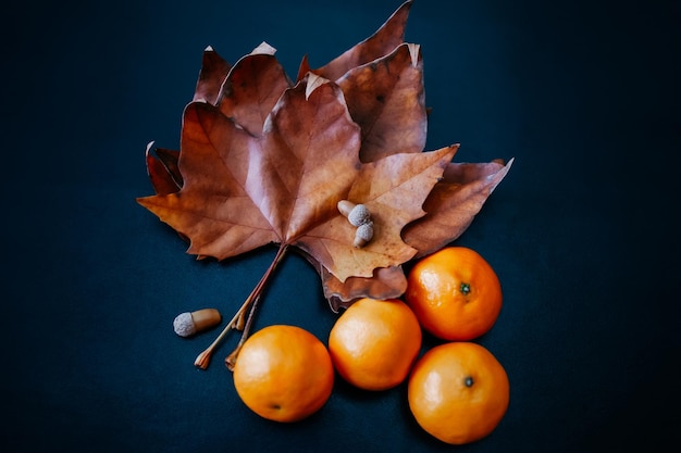 Jesienna kompozycja liści pomarańczy, mandarynki i żołędzi