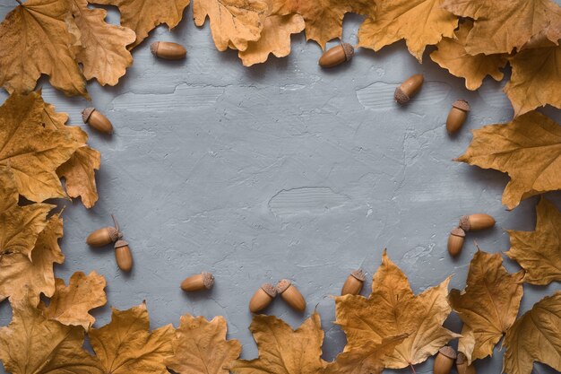Zdjęcie jesienna kompozycja. rama wykonana z liści klonu i żołędzi dębu na szarym tle drewnianych.