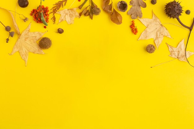 Zdjęcie jesienna koncepcja flatlay kolekcji liści klonu pomalowanych w złoto na żółtym zdjęciu wysokiej jakości