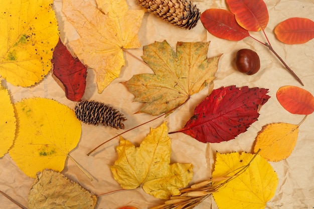 Jesienna makieta z żółtymi czerwonymi liśćmi Szyszki jodły i białą kartką papieru na napis