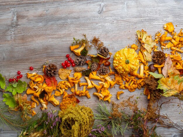 Jesienna martwa natura z dynią, grzybami, kasztanami, czerwonymi jagodami, igłami sosny, szyszkami i opadłymi liśćmi