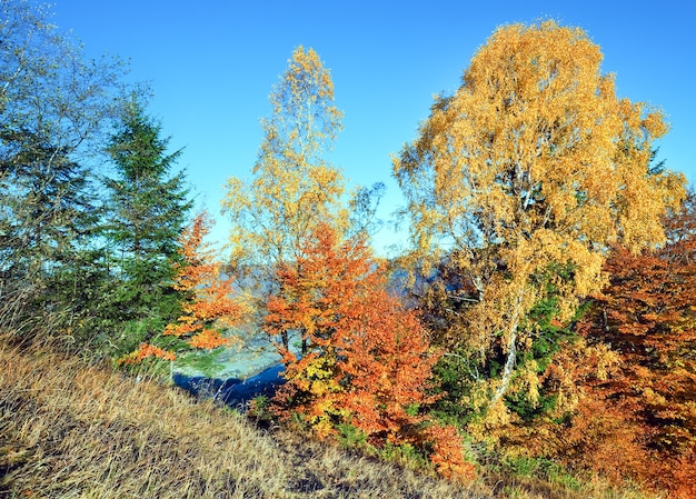 Jesienna przełęcz Nimchich (Karpaty, Ukraina) i kolorowe drzewa na wzgórzu.