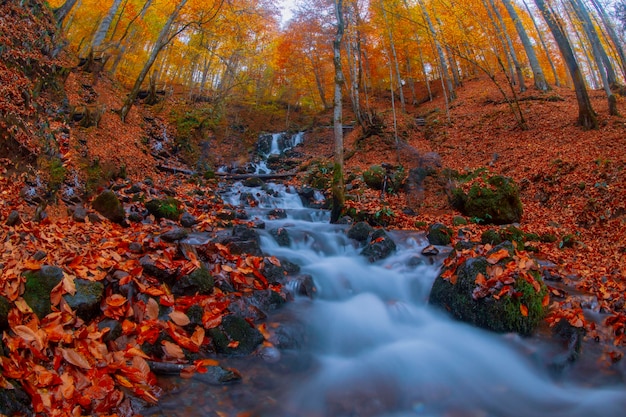 Jesienna scena Siedem jezior Bolu Turcja