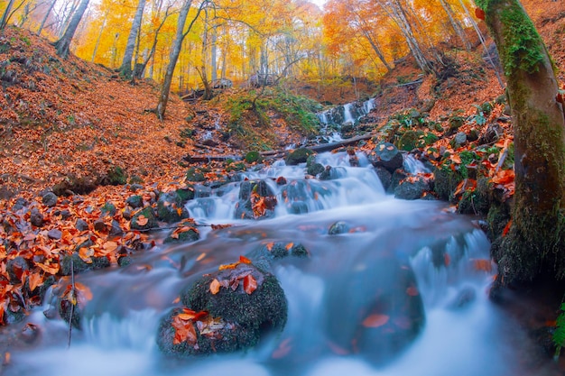 Jesienna scena Siedem jezior Bolu Turcja