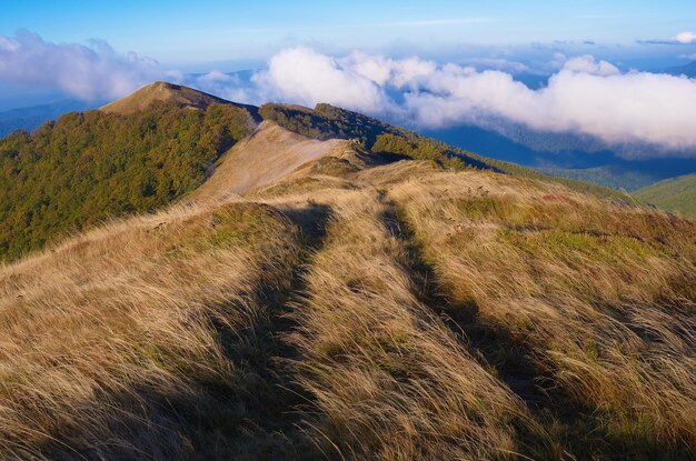 Jesienna Sceneria W Górach. Droga W Suchej Trawie. Karpaty. Ukraina. Europa