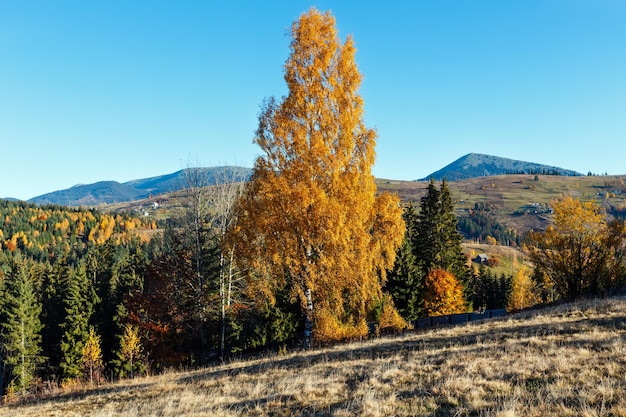 Jesienna wieś karpacka Ukraina