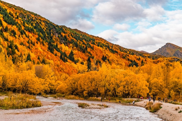 Zdjęcie jesienne drzewa w arrowtown nowa zelandia