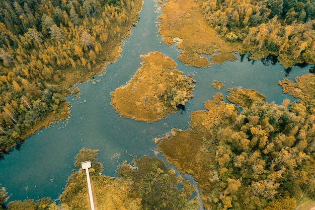 Jesienne jezioro otoczone lasem parkiem Izvara i szlakiem ekologicznym, powiat Volosovsky, obwód leningradzki Rosja. Widok z lotu ptaka