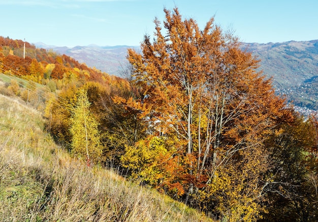 Jesienne Karpaty Rachów Ukraina