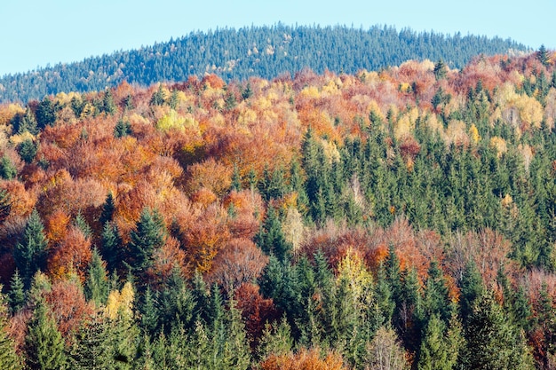 Jesienne Karpaty Ukraina